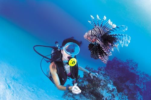 Bâpteme de plongée