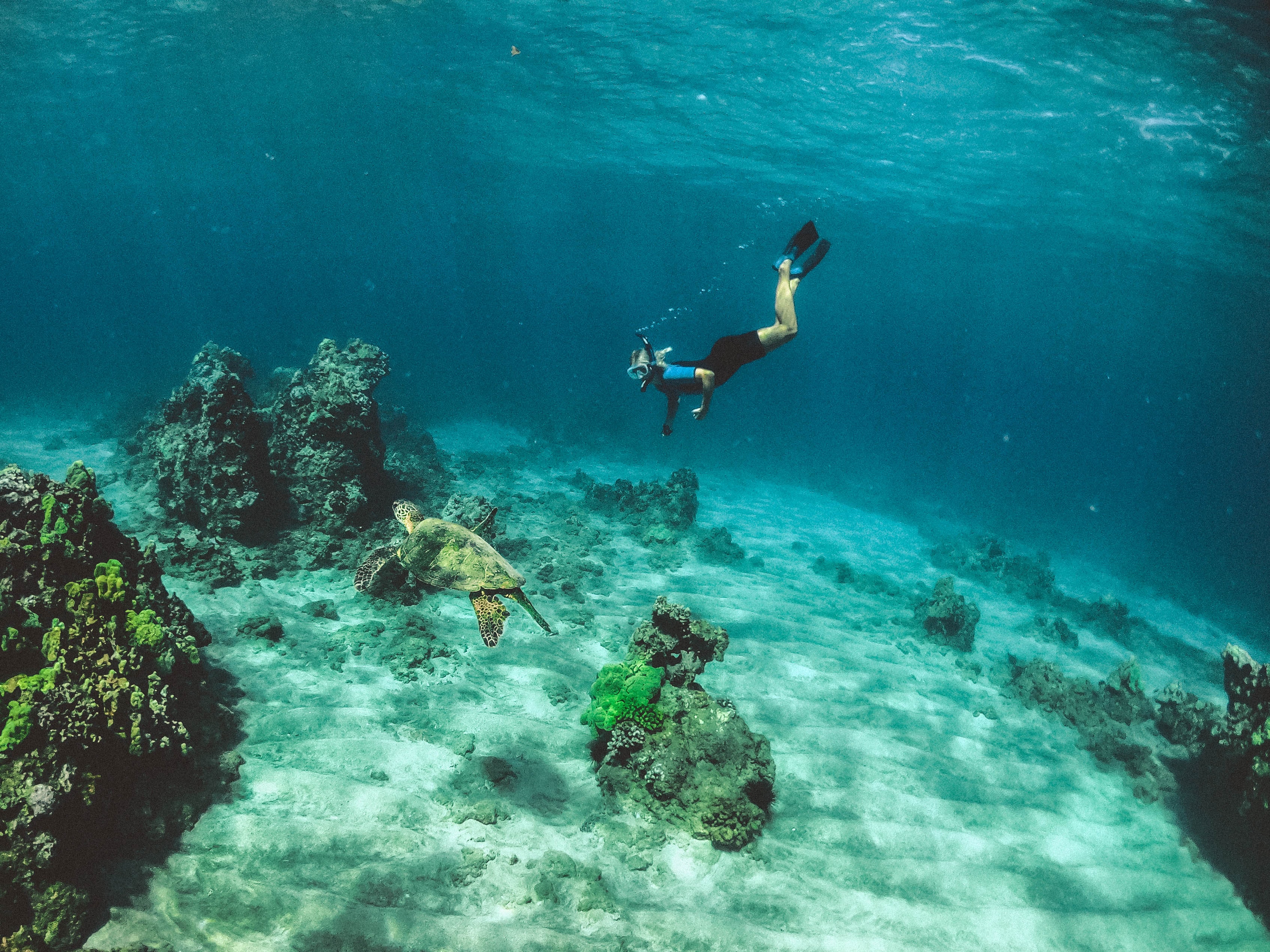 offres plongée sous-marine Koh Tao