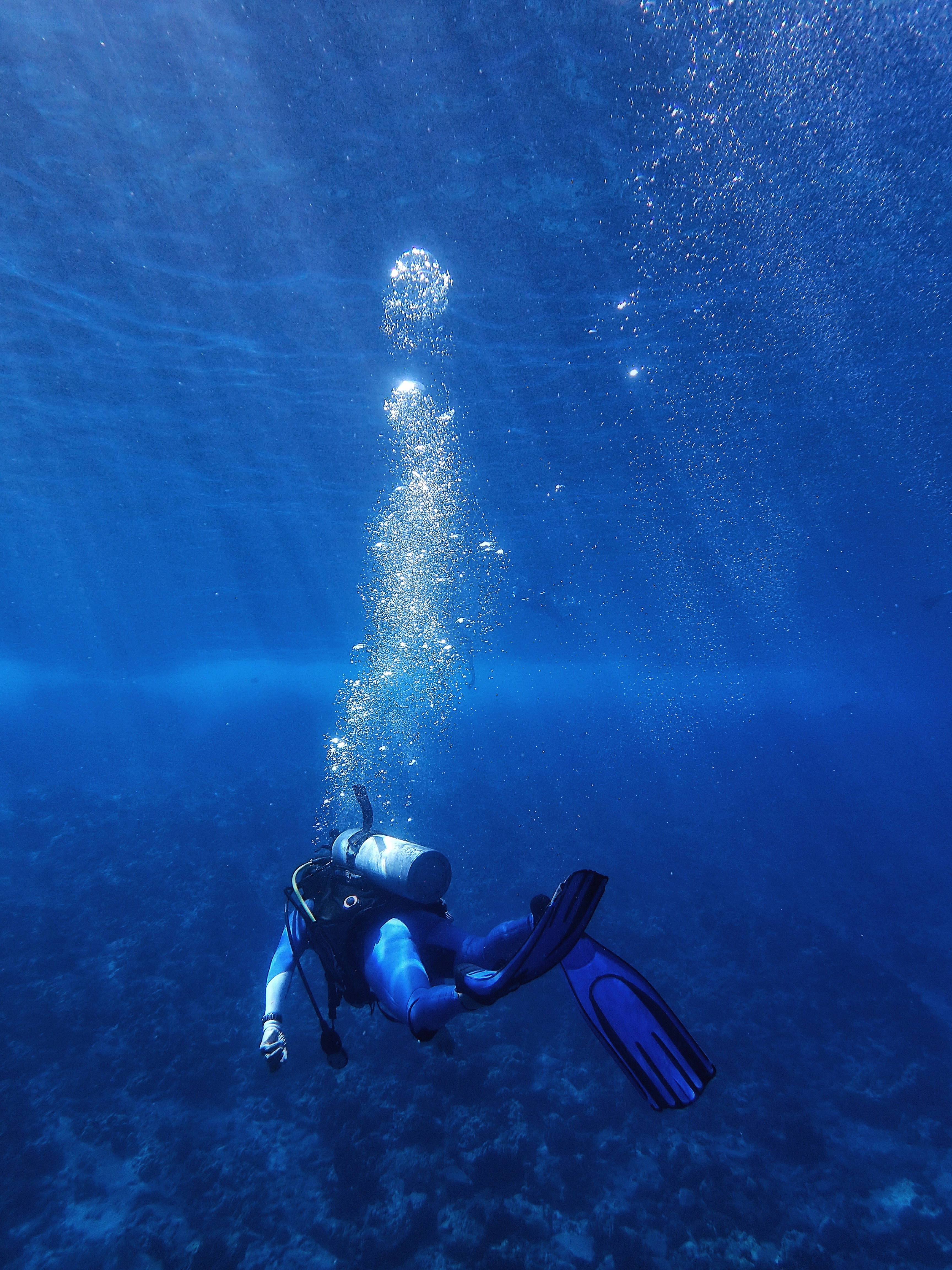 plongée sous-marine koh tao