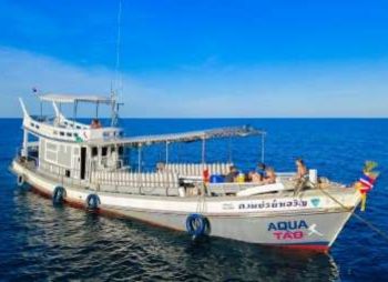 Snorkeling et plongée à Koh Tao