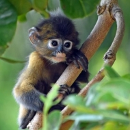 AquaTao : Ang Thong National Park1591329175-mini.jpg