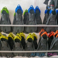 AquaTao: Fins Fins