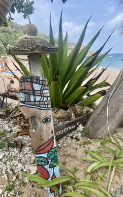 d&eacute;couvrez les nudibranches &agrave; Koh tao