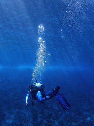 plongée sous-marine koh tao