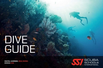 Formation Divemaster française à Koh Tao