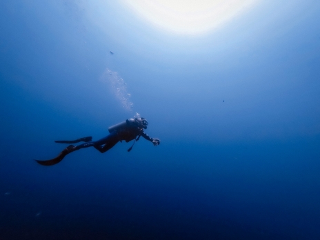 formation plongée sous-marine