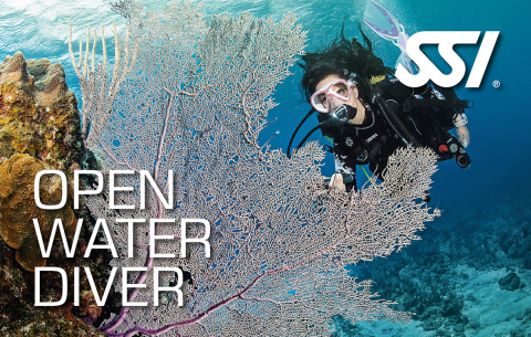 Official SSI "Open Water Diver" visual