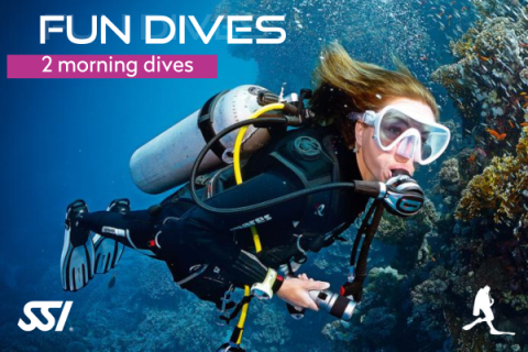 "Fun Dives, 2 morning dives" promotional visual