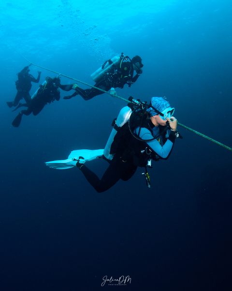 Divers descending along a mooring line