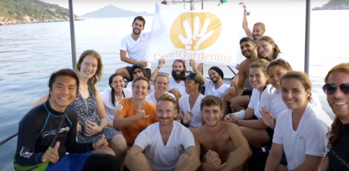 La team d'AquaTao avec l'association Coral Gardening à Koh Tao