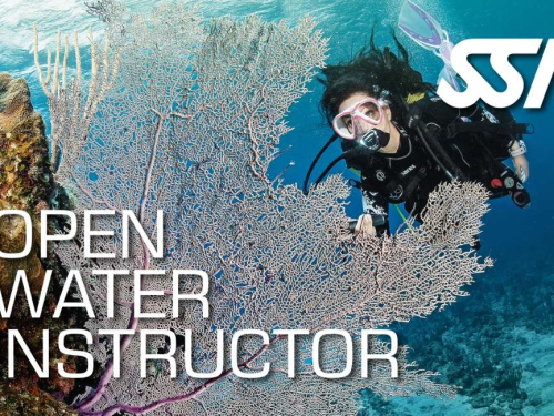 Instructeur de plongée SSI en formation à Koh Tao avec AQUATAO