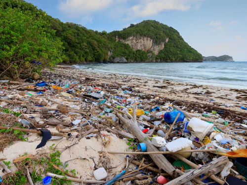 Polluted beach environmental awareness