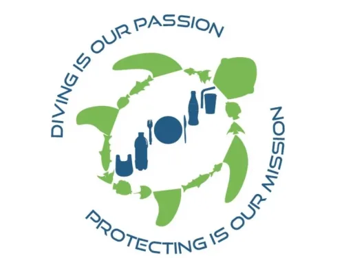 Eco Logo